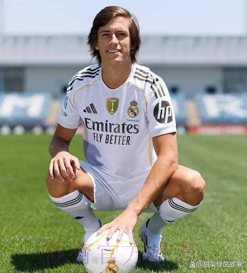 TA:皇马今夏想签中卫&边卫&攻击手 在关注阿方索 TA:皇马今夏想签中卫&边卫&攻击手 在关注阿方索